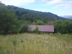 IMG 20240924 WA0048