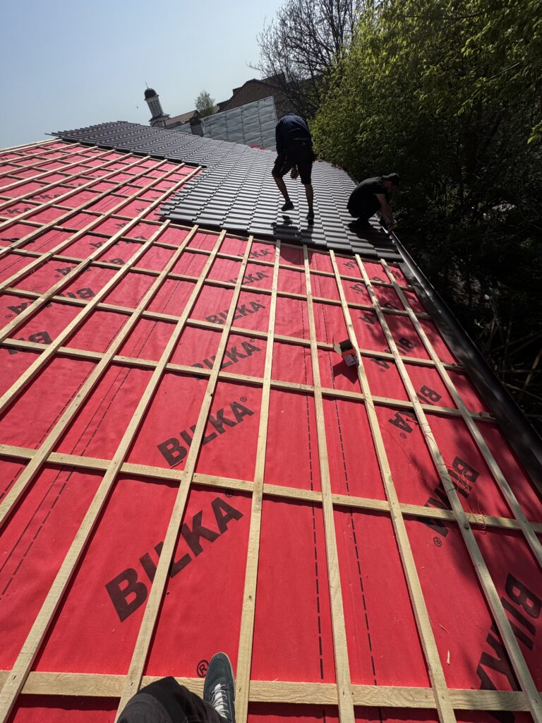 IMG 5071